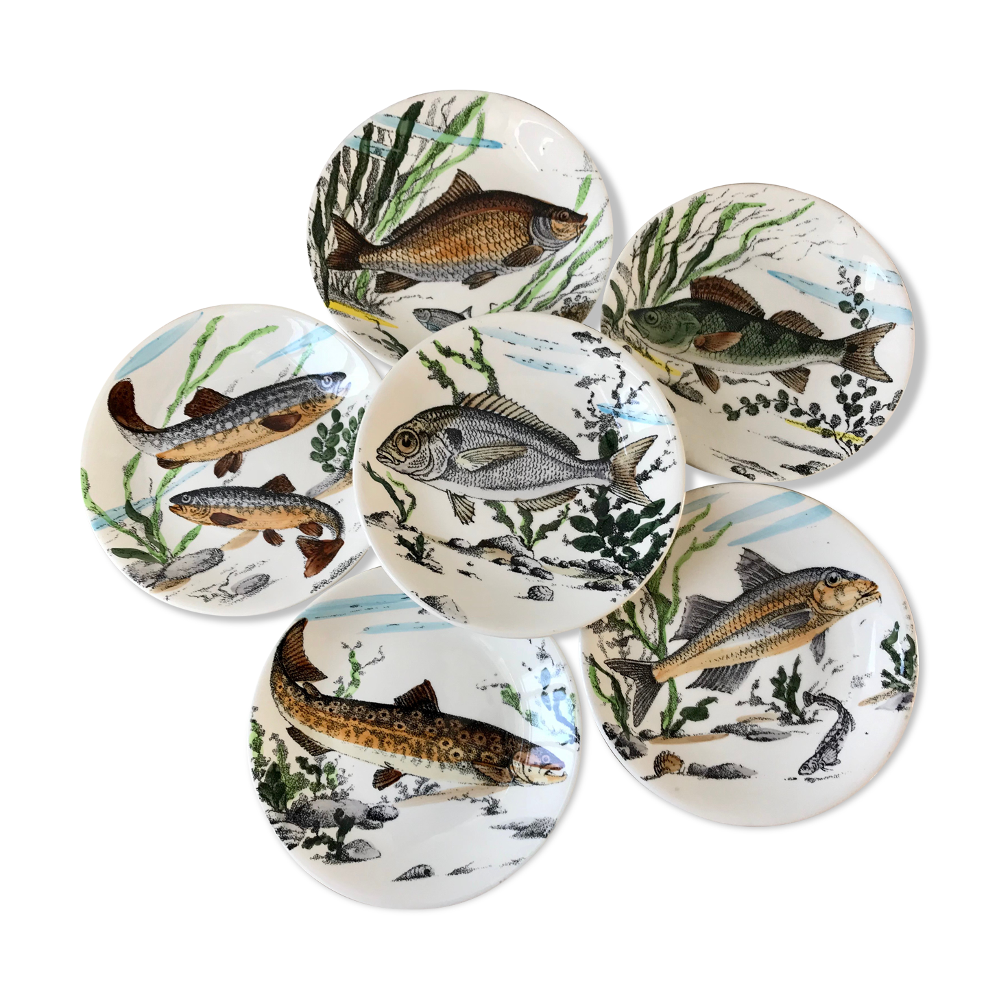 Lot de 6 assiettes plates poissons Gien Chambord années 50