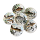 Lot de 6 assiettes plates poissons Gien Chambord années 50
