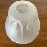 Tulip glass lampshade
