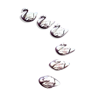 Swans bear name