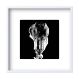 Limited edition art photo numbered dated and signed