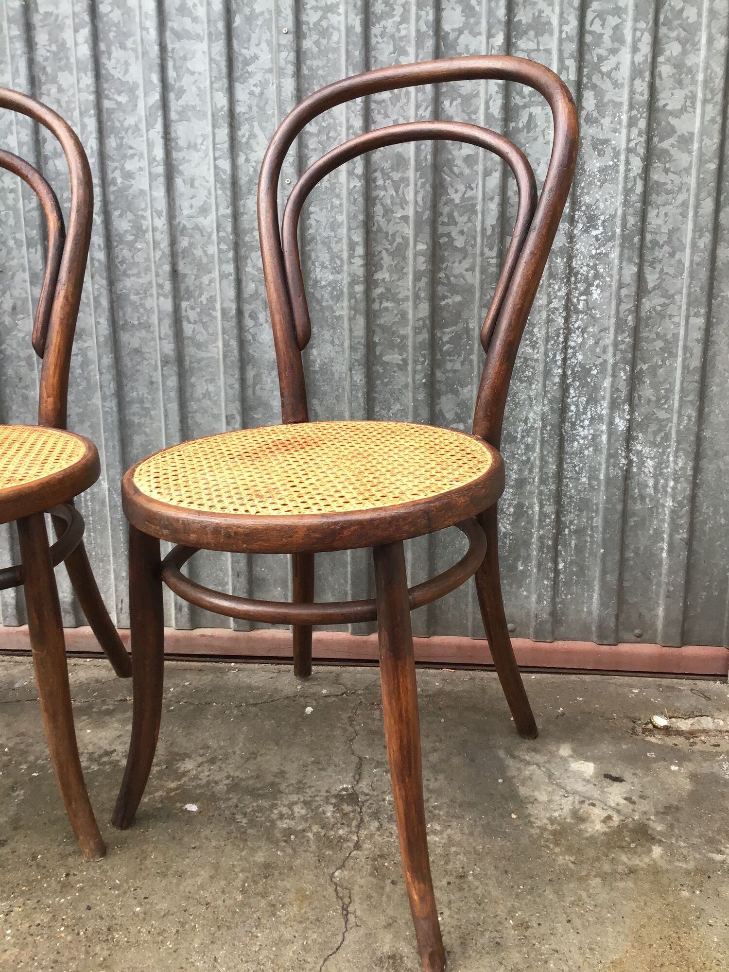 Pair of chairs curved wood tuna and Nr 14