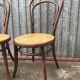 Pair of chairs curved wood tuna and Nr 14