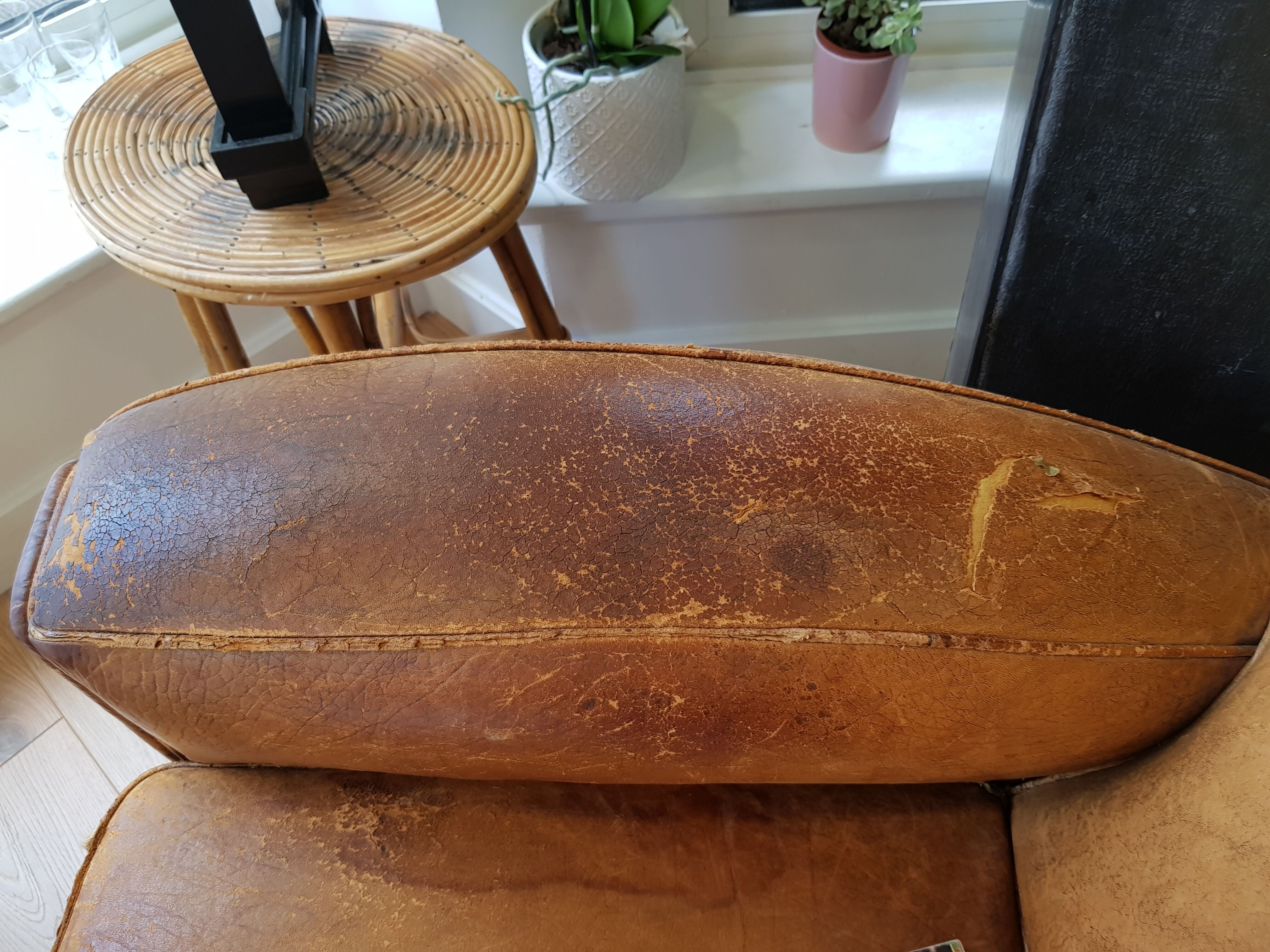 Club leather armchair