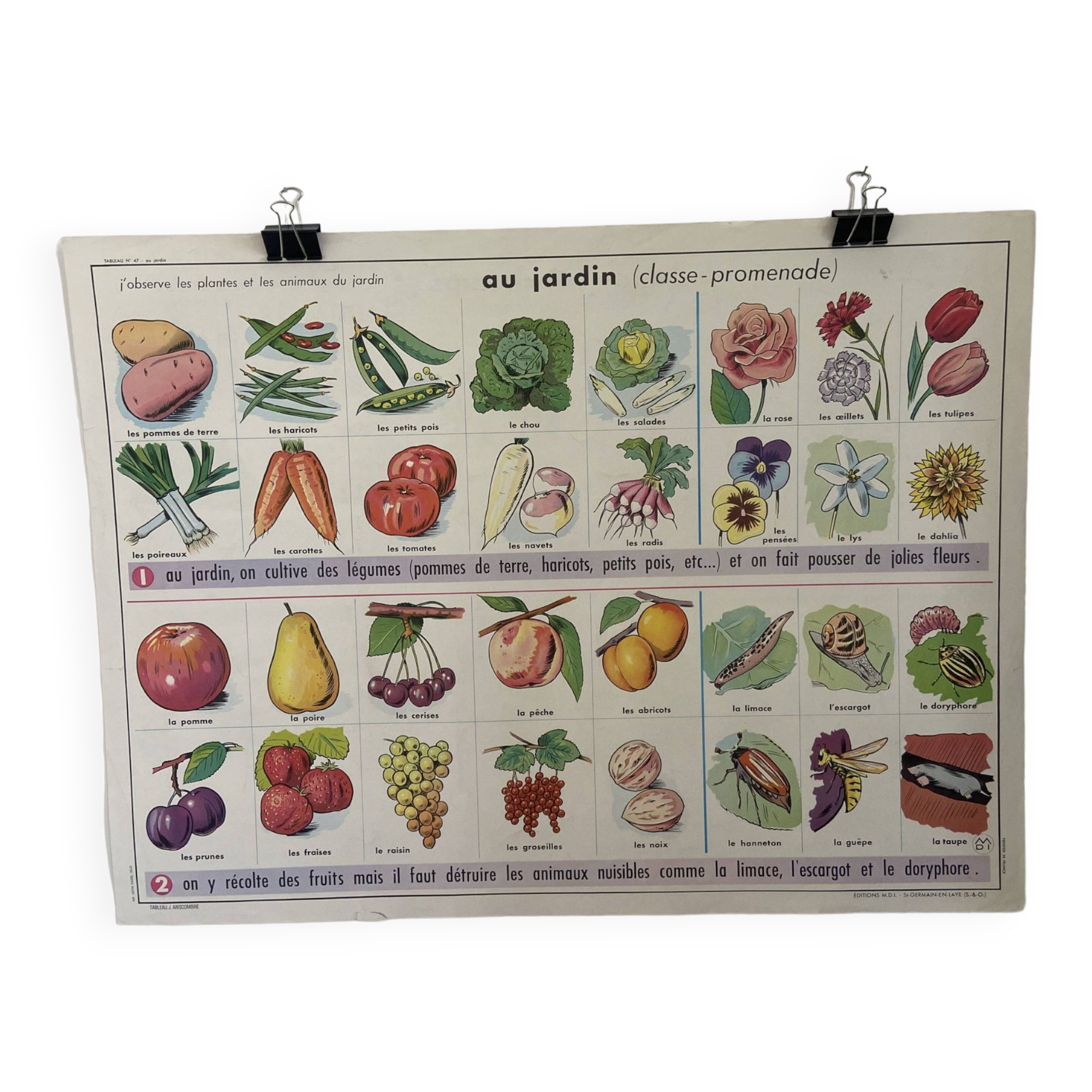 Vintage educational poster