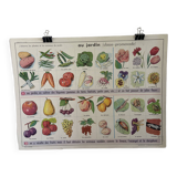 Vintage educational poster