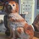 Set of 2 Dog Statues – Staffordshire – Ornament – Vintage Pair