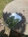 Mirror, centerpiece, to place, beveled and chiseled, art deco