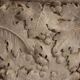 Antique plaster vase decorated with bunches of grapes, Italy, 19th century.