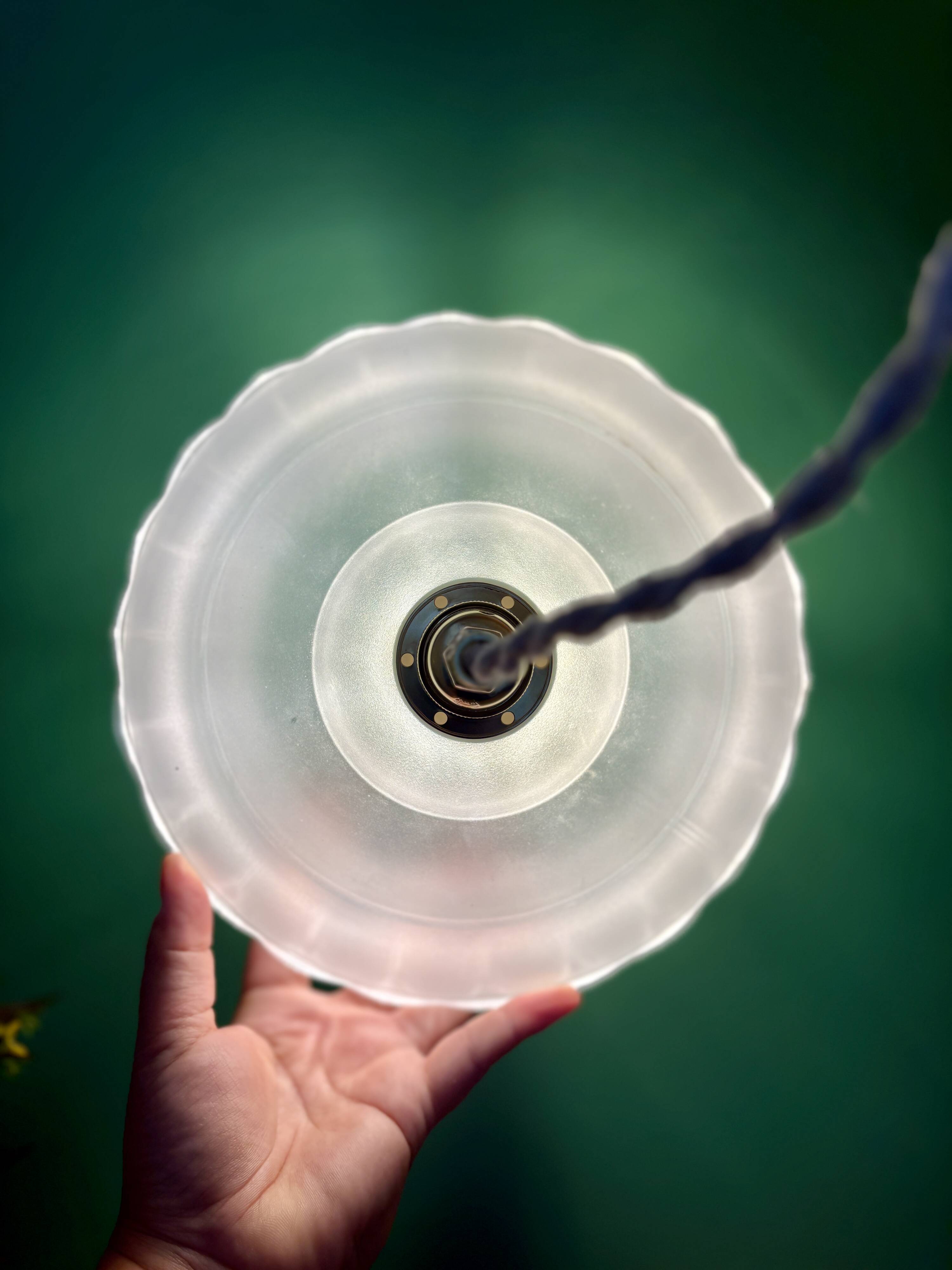 Vintage frosted glass lampshade pendant light