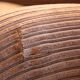 Paire de fauteuils velours seventies