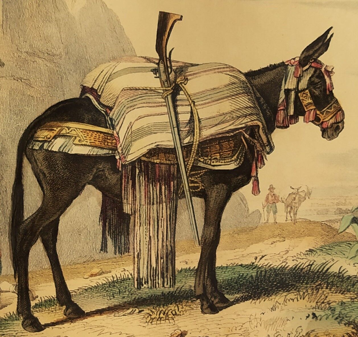 Original zoological plank "the Mulet" Buffon 1840