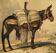 Planche zoologique originale " le Mulet " Buffon 1840