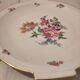 Plate presentation