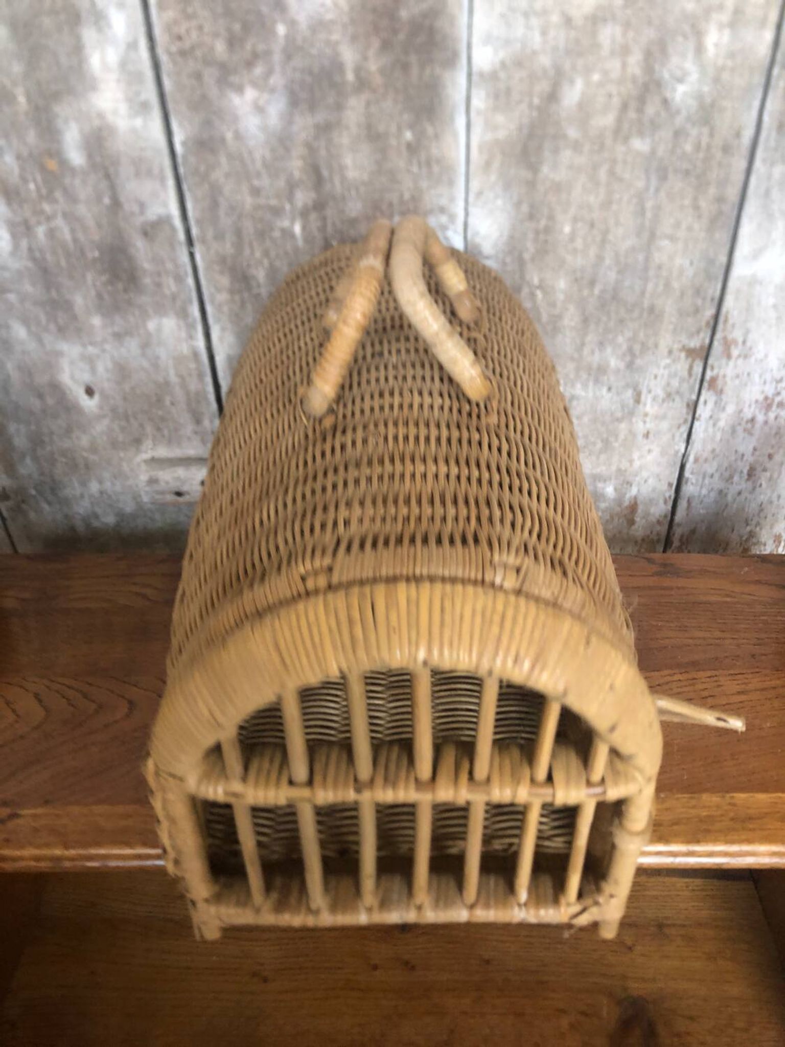 Old basket transport trunk rattan cage puppies kittens animals vintage