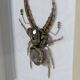 Tableau insecte brodé à la main (pièce unique)