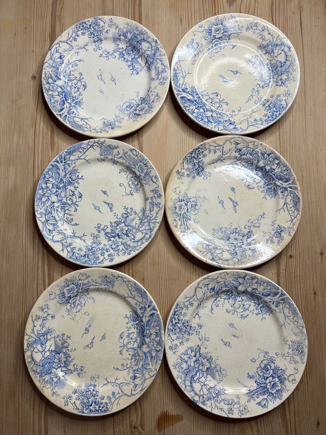 Set of 6 vintage dinner plates