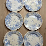 Set of 6 vintage dinner plates