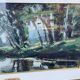 Tableau Abbé Calès signé et encadré
