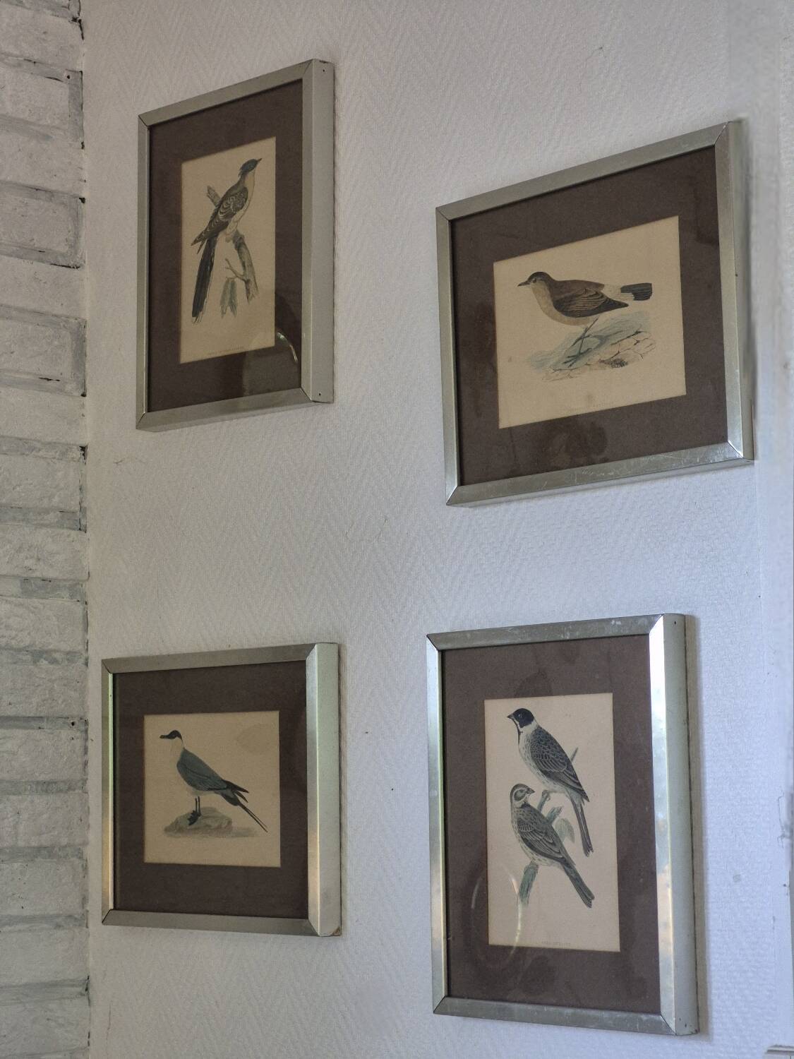 Bird prints