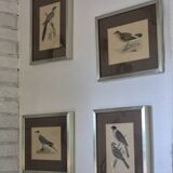 Bird prints