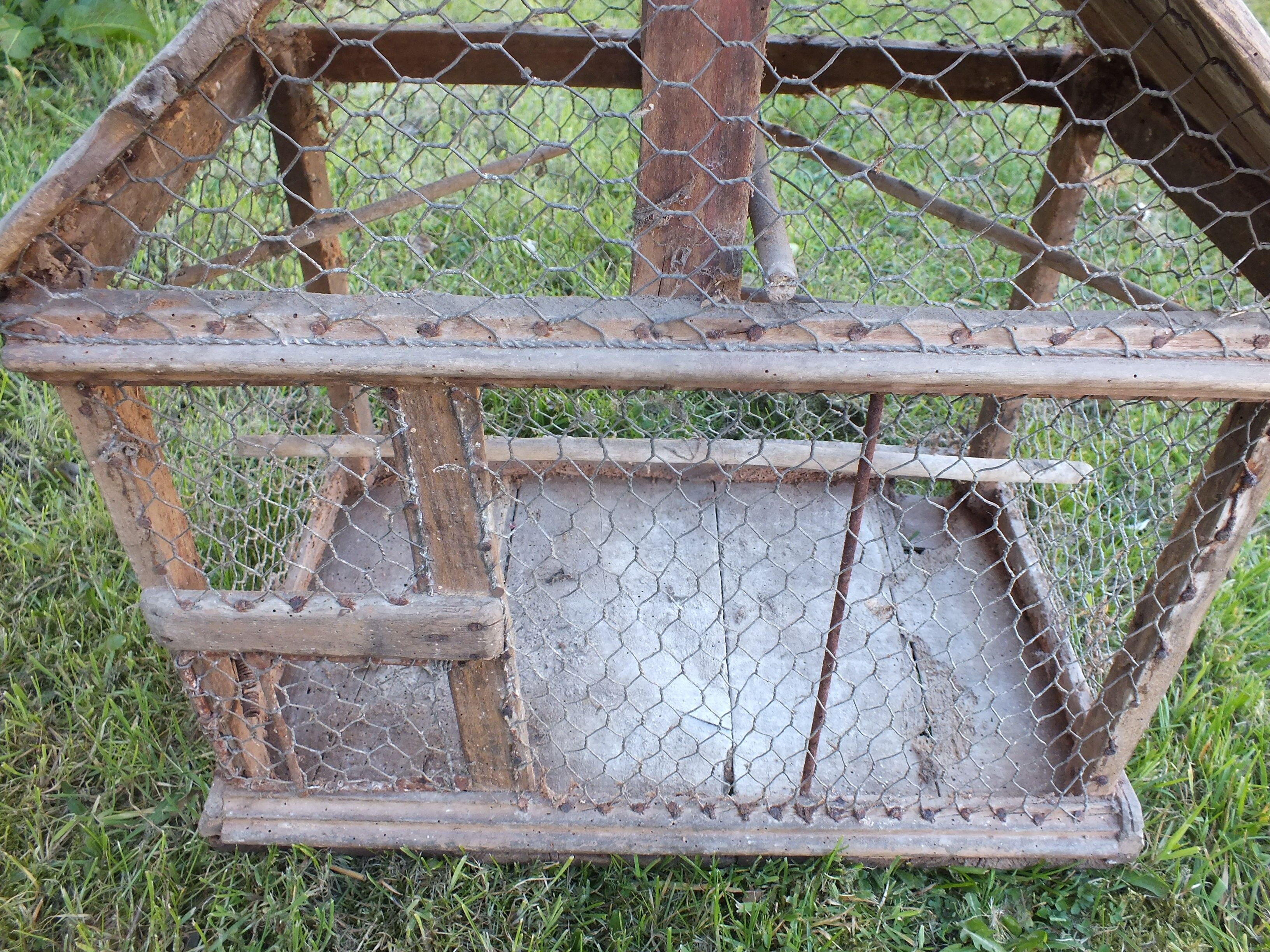 Bird cage wood and fence