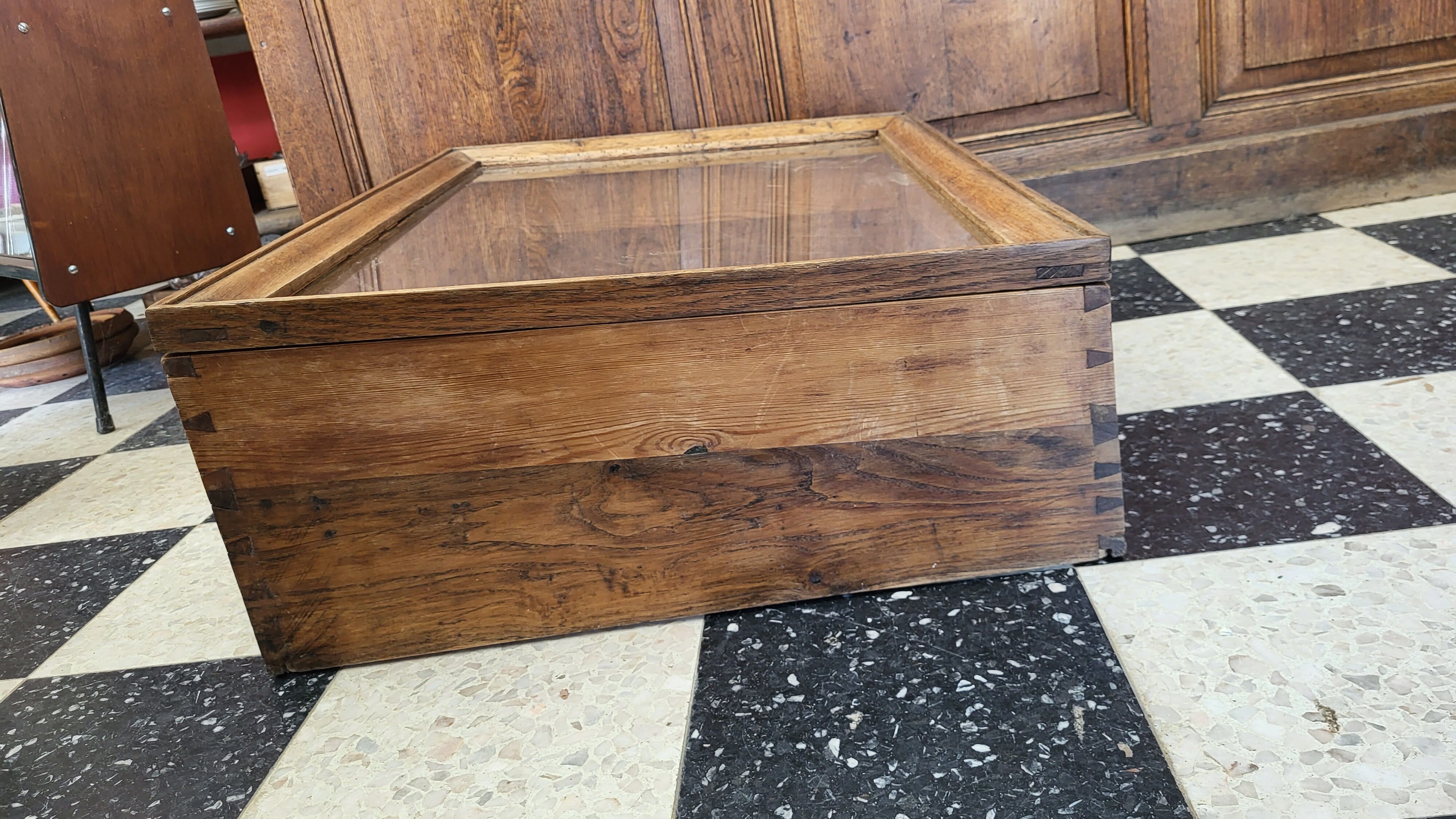 Vitrine de comptoir en chêne Fin XIXème / Déb. XXème
