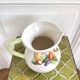 Fruit basket slushie pitcher