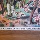 School poster of the 50s, Rossignol editions, mushroom picking