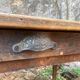 Vintage farmhouse table