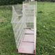 Cage à Oiseaux