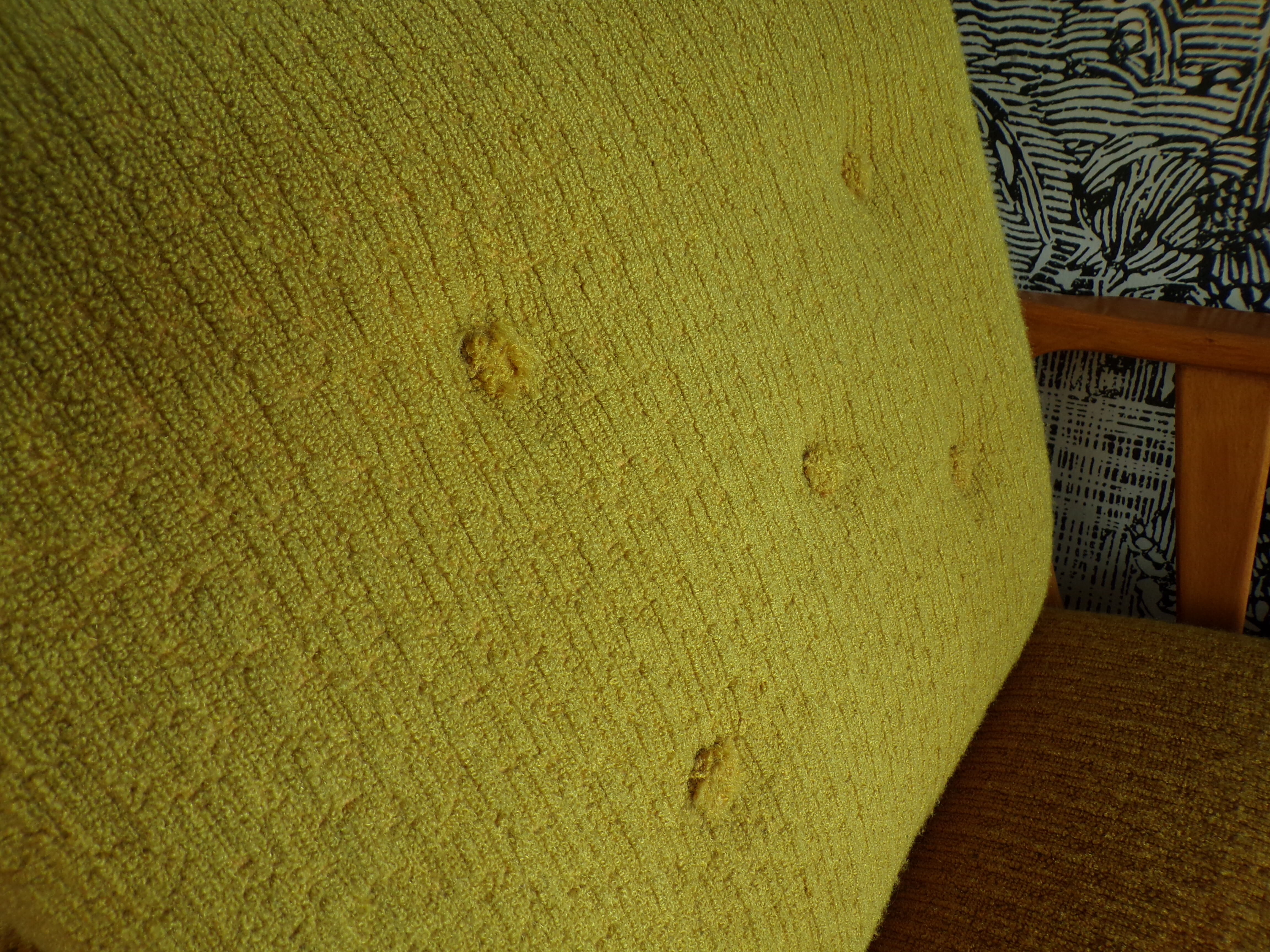 Pair of armchairs 1950