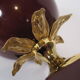 Luxury light lamp lounge egg ostrich 1970 awarded to Louis Drimmer