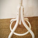 Psyche mirror parrot in curved wood