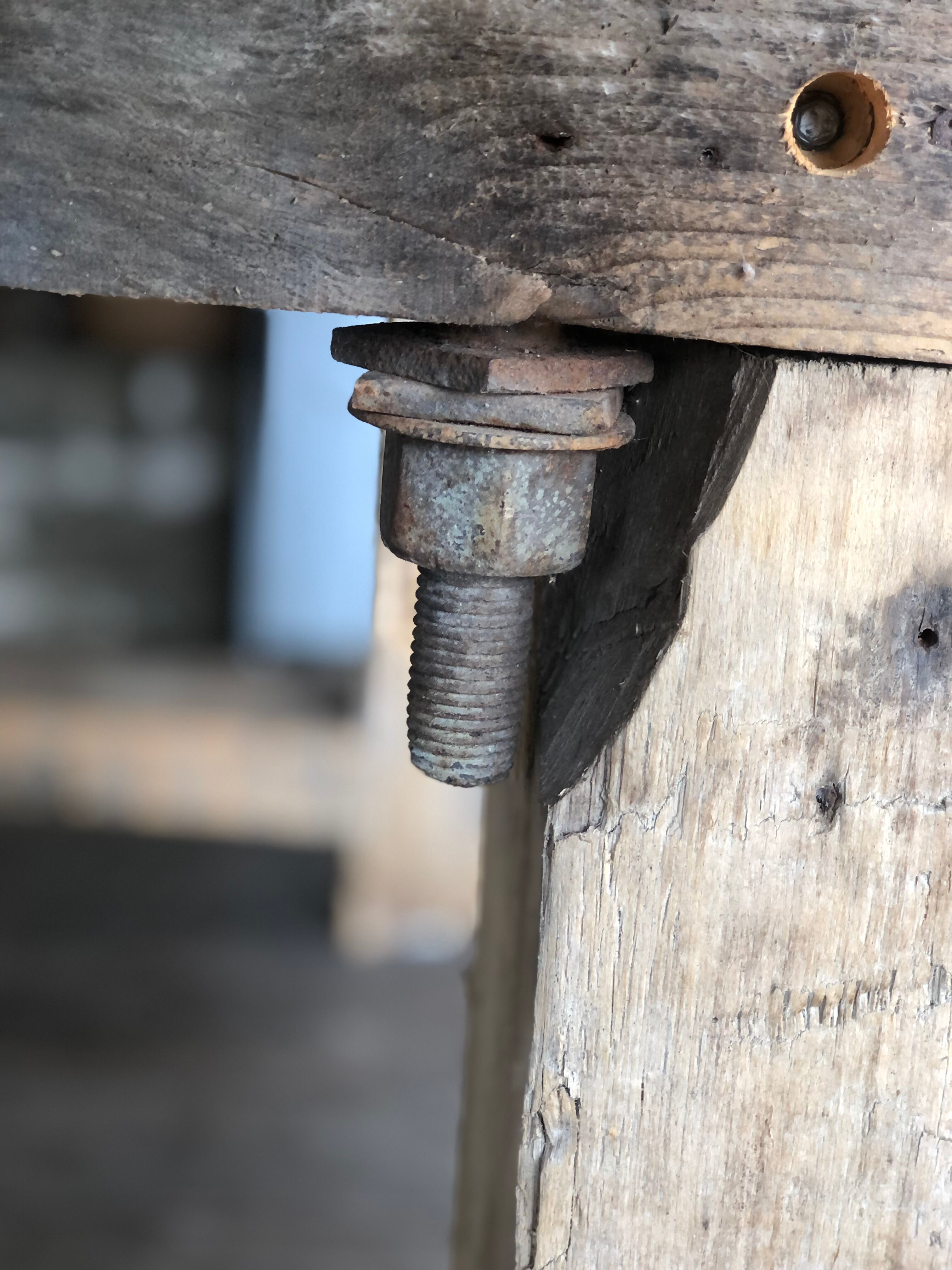 Established old wood