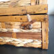 Valise rotin osier