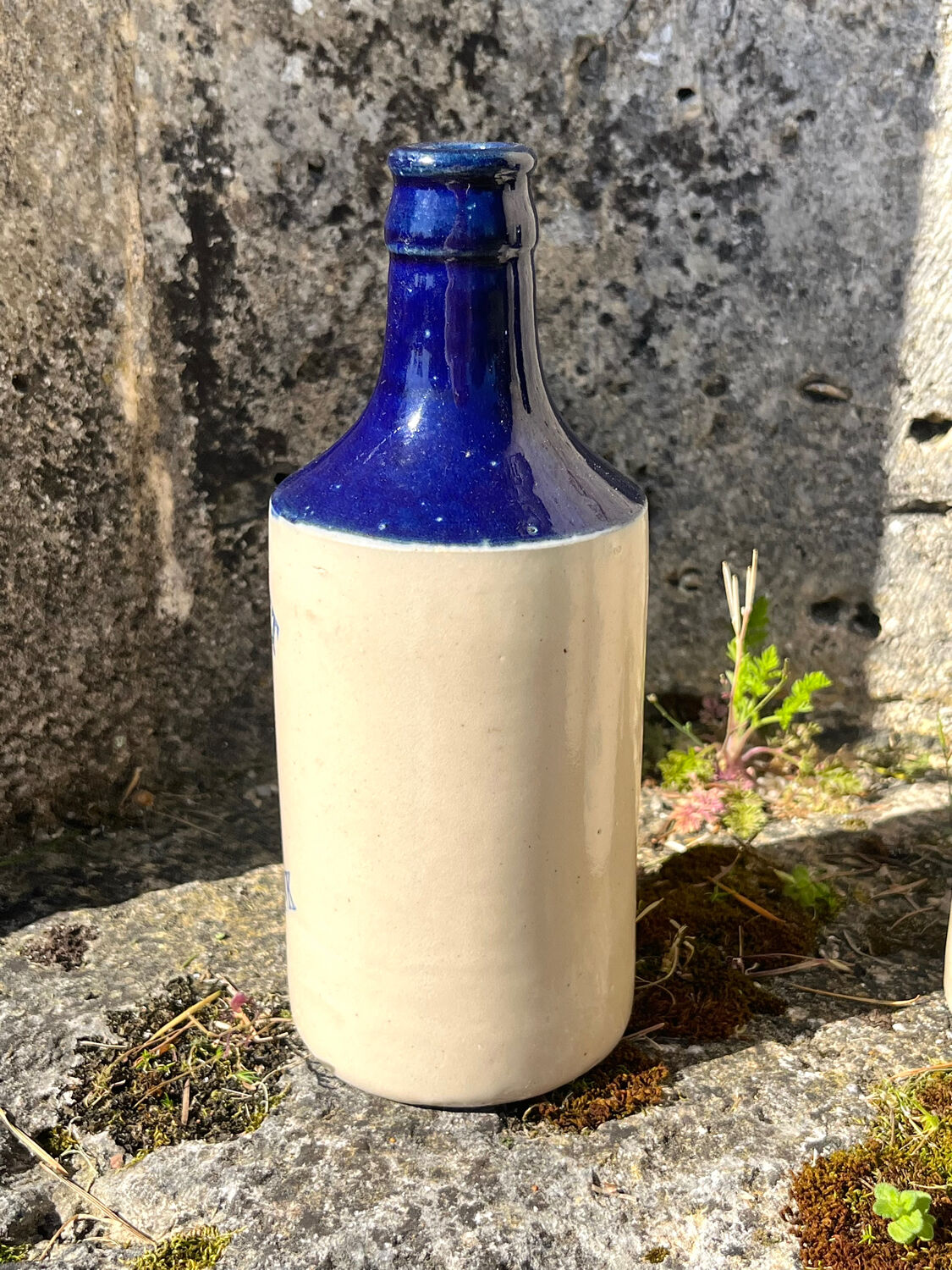 French stoneware grapefruit sparkling drink bottles