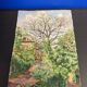 Aquarelle Maison aux Iris