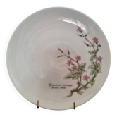 Assiette décorative porcelaine fine