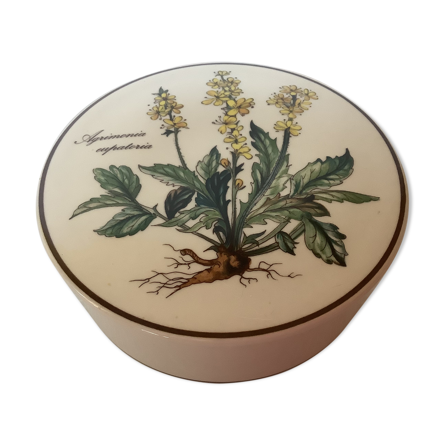 Villeroy and Boch Botanica Box