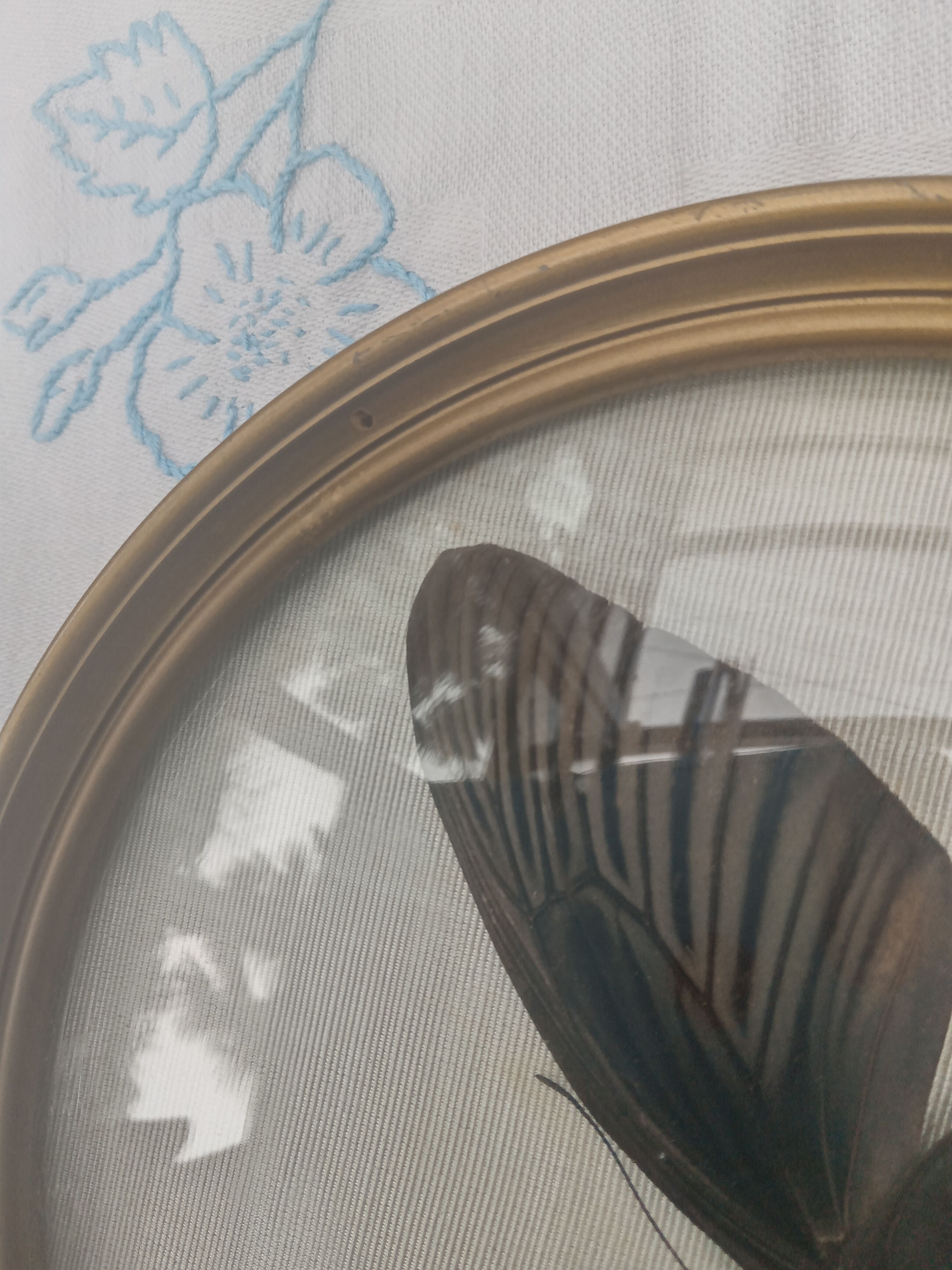 True butterfly frame