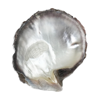 Empty-pocket in mother-of-pearl shell