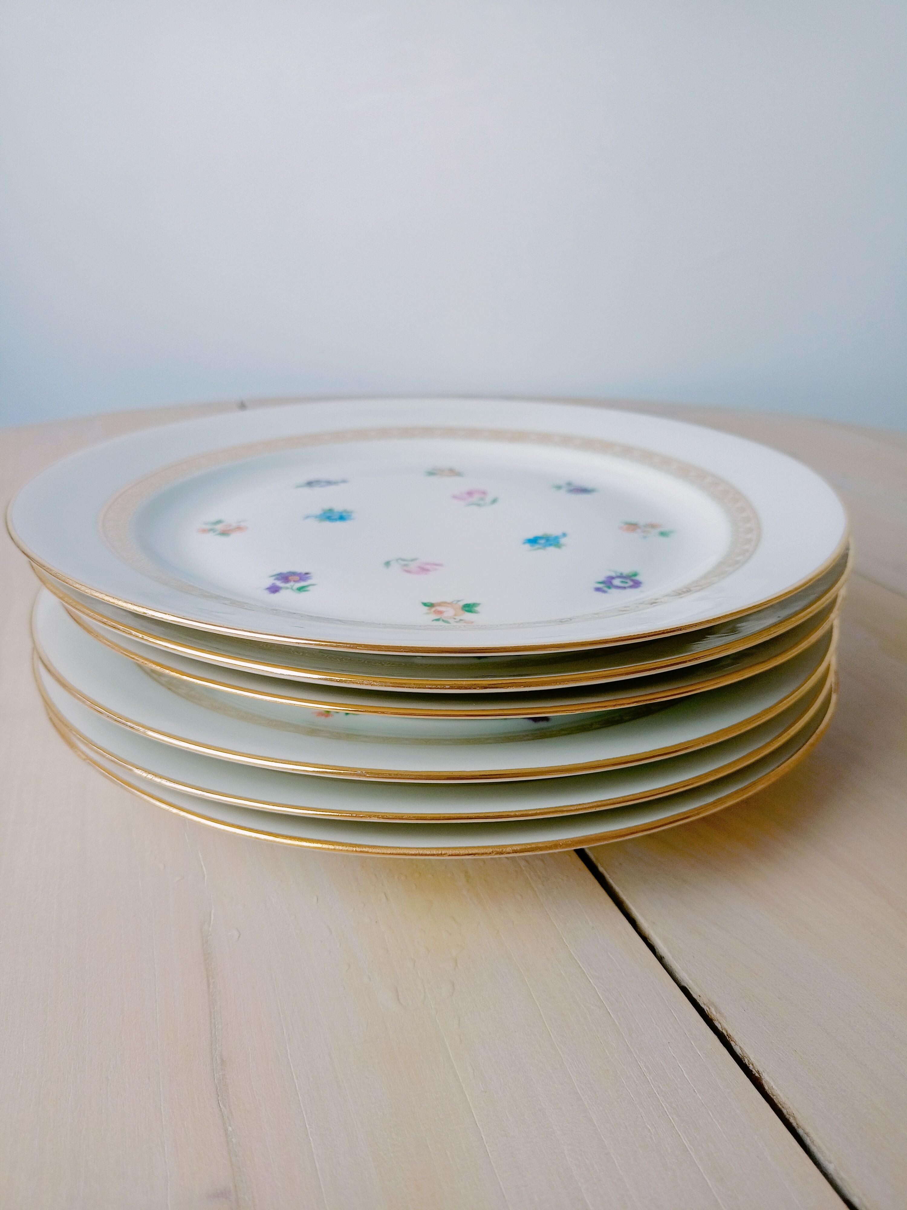 6 Limoges porcelain plates