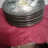 Six plates of oysters Saint Clement