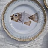 Lot de 9 assiettes plates saint Amand decor poissons