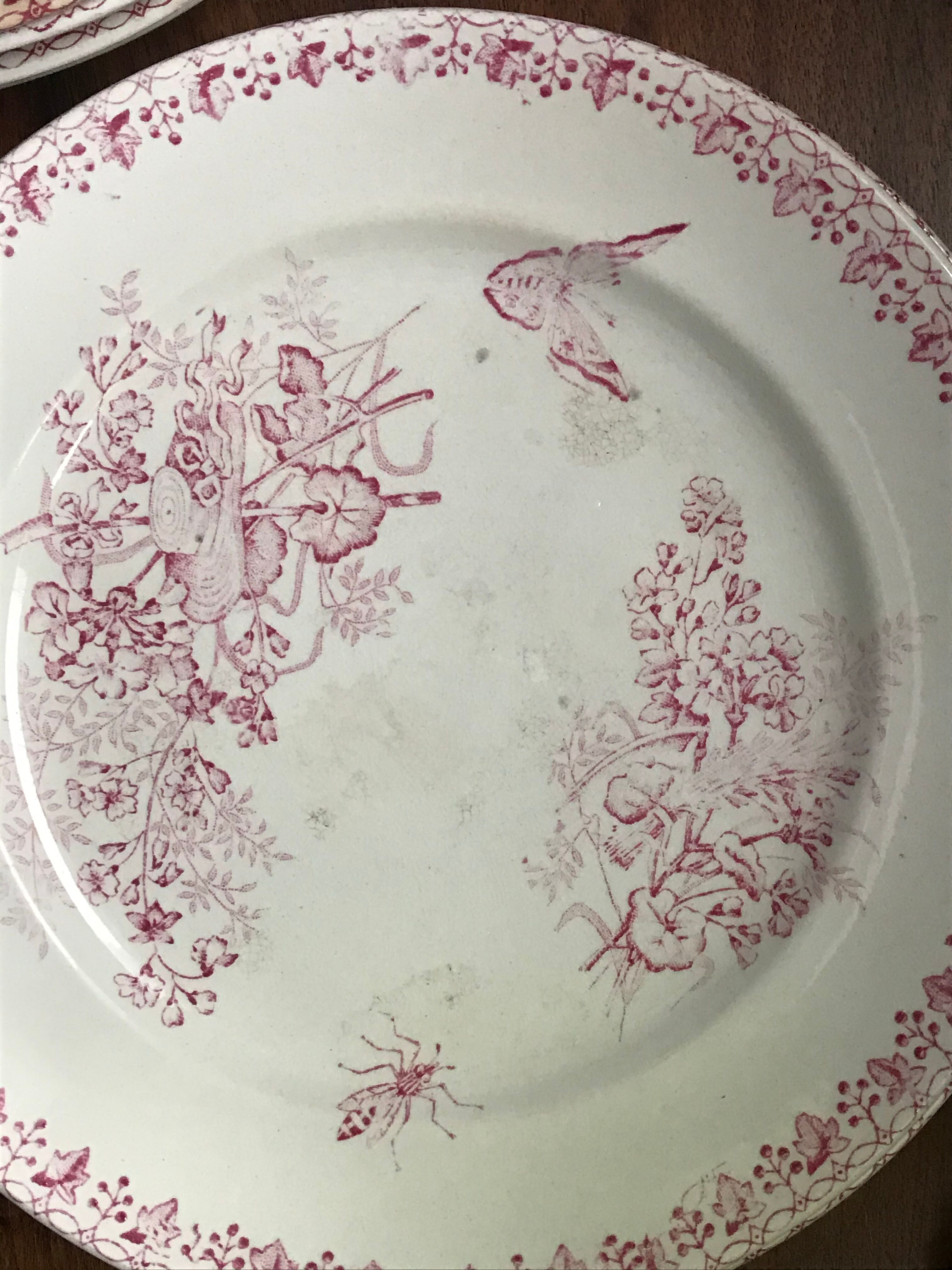 Lot of 9 plates iron earth circa 1900