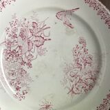 Lot of 9 plates iron earth circa 1900