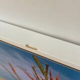 Photo American cactus LA box