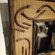 2-tone beveled square wood and rattan mirror