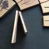 Roger Capron herbarium tiles